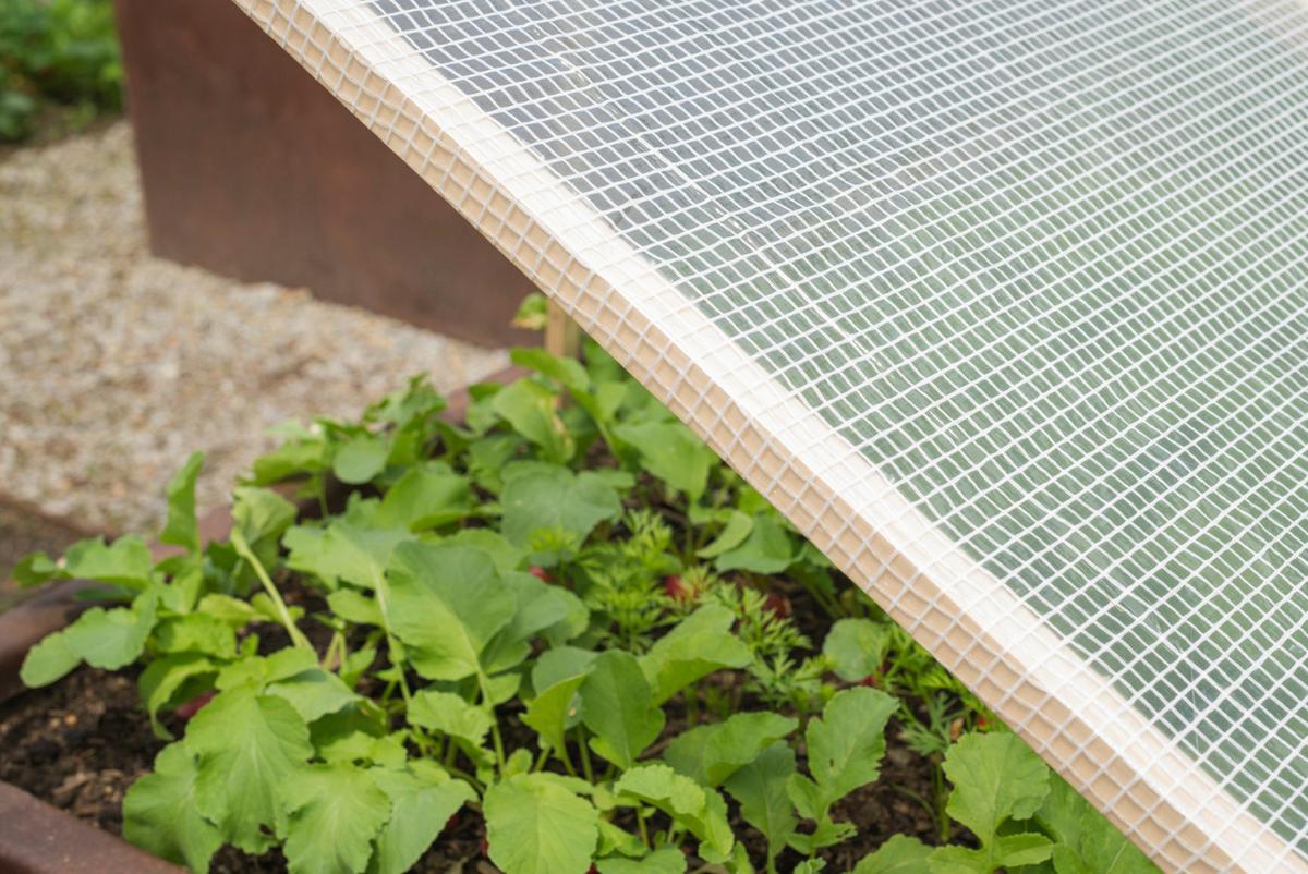 Gitter-folie Bxt: 200x300 Cm - Weiß, Basics, Kunststoff (200/300cm) - Windhager