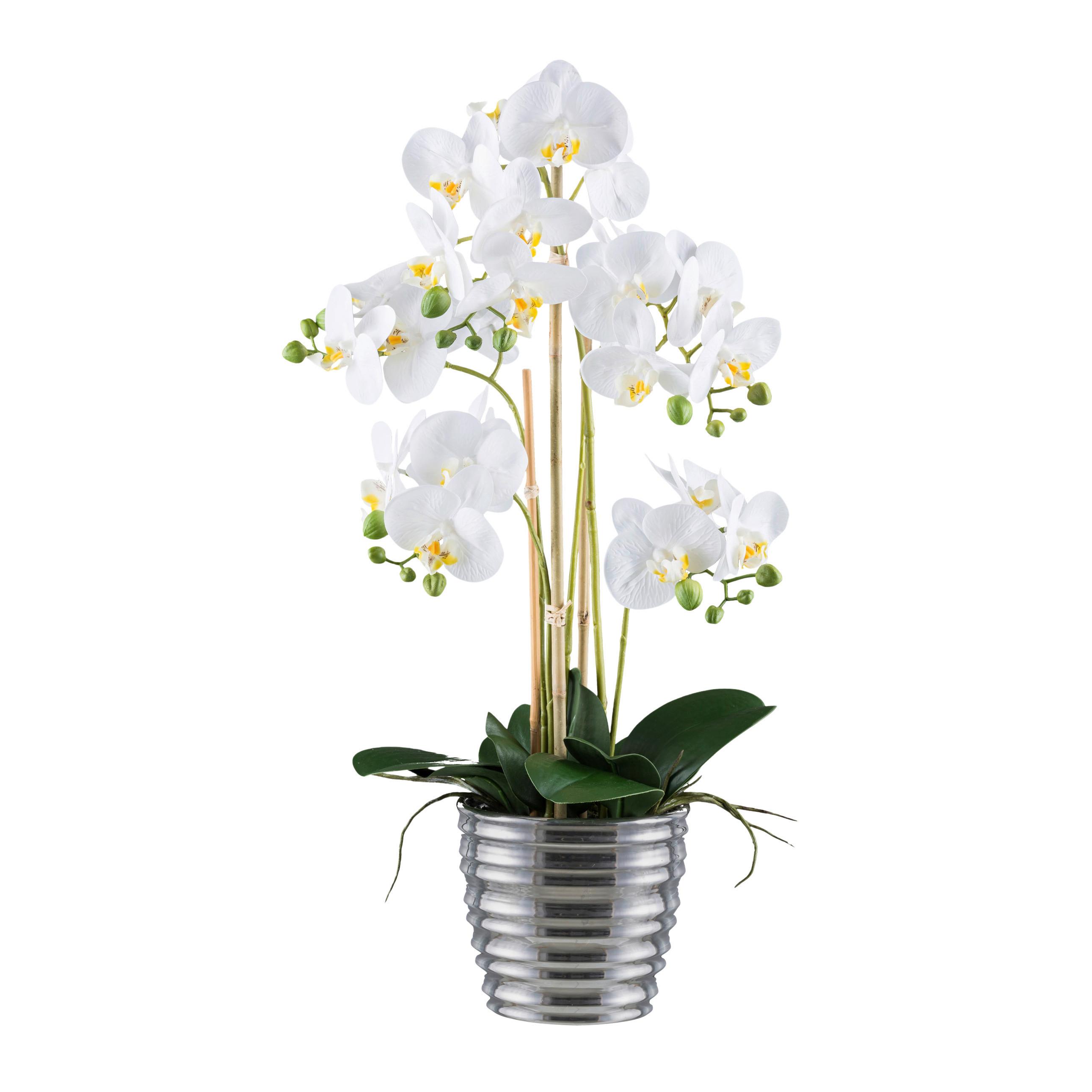 Kunstpflanze Orchideen Grün/Silberfarben/Weiß, 62 cm - Silberfarben/Weiß, Design, Keramik/Kunststoff (62cm) - P & B