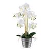 Kunstpflanze Orchideen Grün/Silberfarben/Weiß, 62 cm - Silberfarben/Weiß, Design, Keramik/Kunststoff (62cm) - P & B