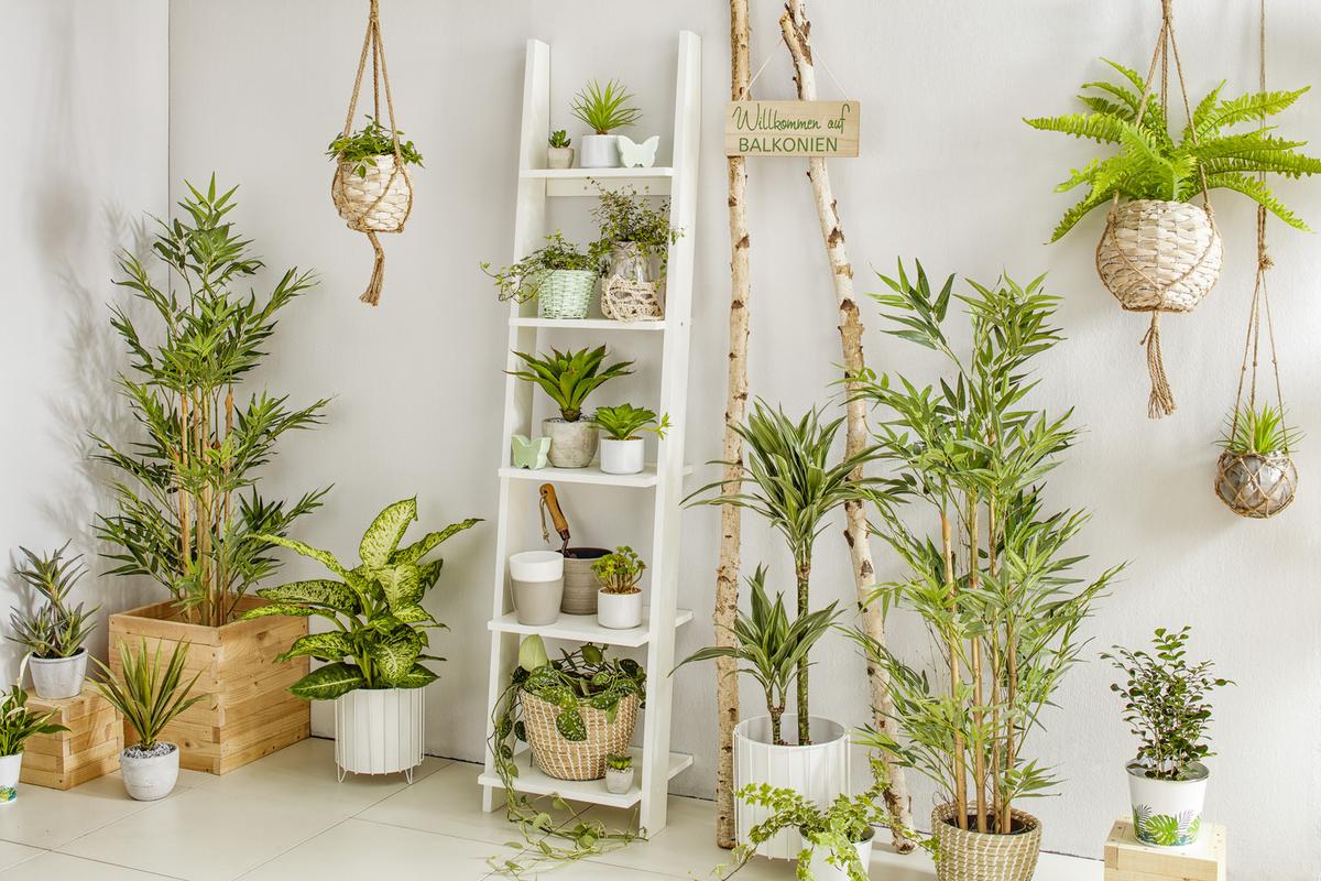 UMĚLÁ ROSTLINA NOAH - zelená/hnědá, plast (120cm) - Modern Living
