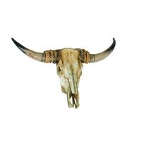 Geweih Braun Naturfarben B: 79 cm - Braun/Naturfarben, Basics, Kunststoff (79/52,5/16,5cm)
