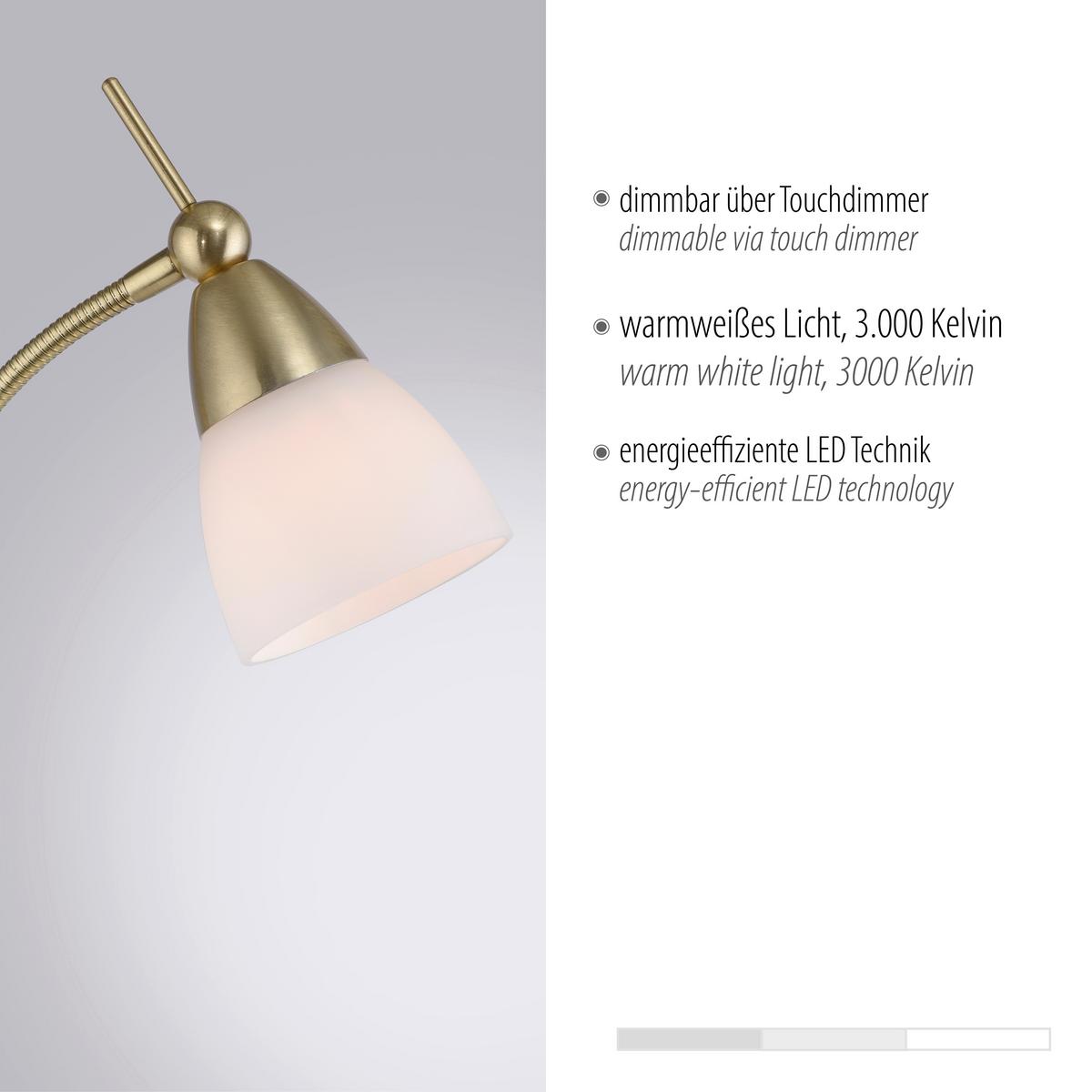 LED-Stehleuchte 400-60 Pino - Messingfarben, Basics, Glas/Metall (74/74/163cm) - Paul Neuhaus