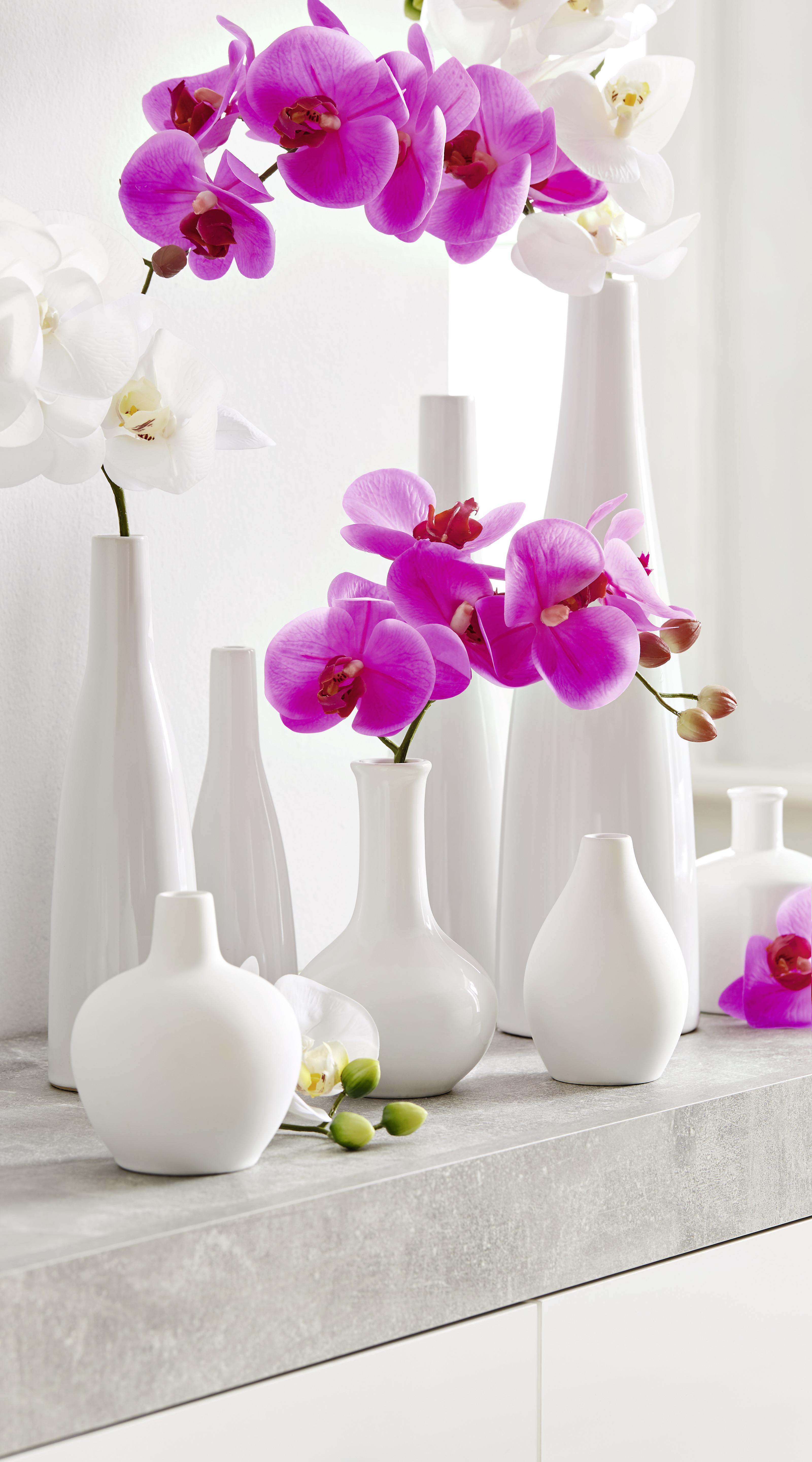 Váza Plancio - biela, Moderný, keramika (8,5/33cm) - Modern Living