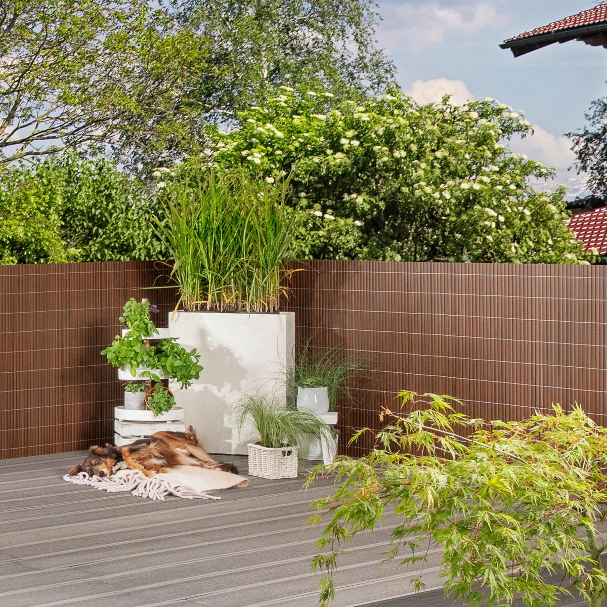 Sichtschutz Presidio Walnuss 300x90 Cm Witterungsbeständig - Braun, Basics, Kunststoff (300/90cm)