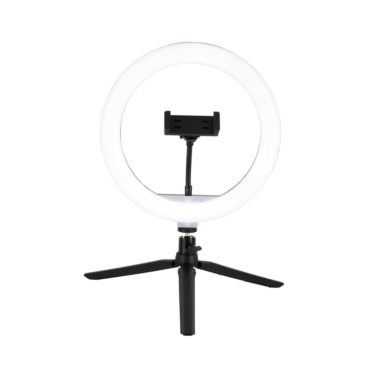 Dekoračné svietidlo Tofo, P/V: ca 26/40cm, čierna - čierna, Modern, kov/plast (24,5/38cm) - Mömax