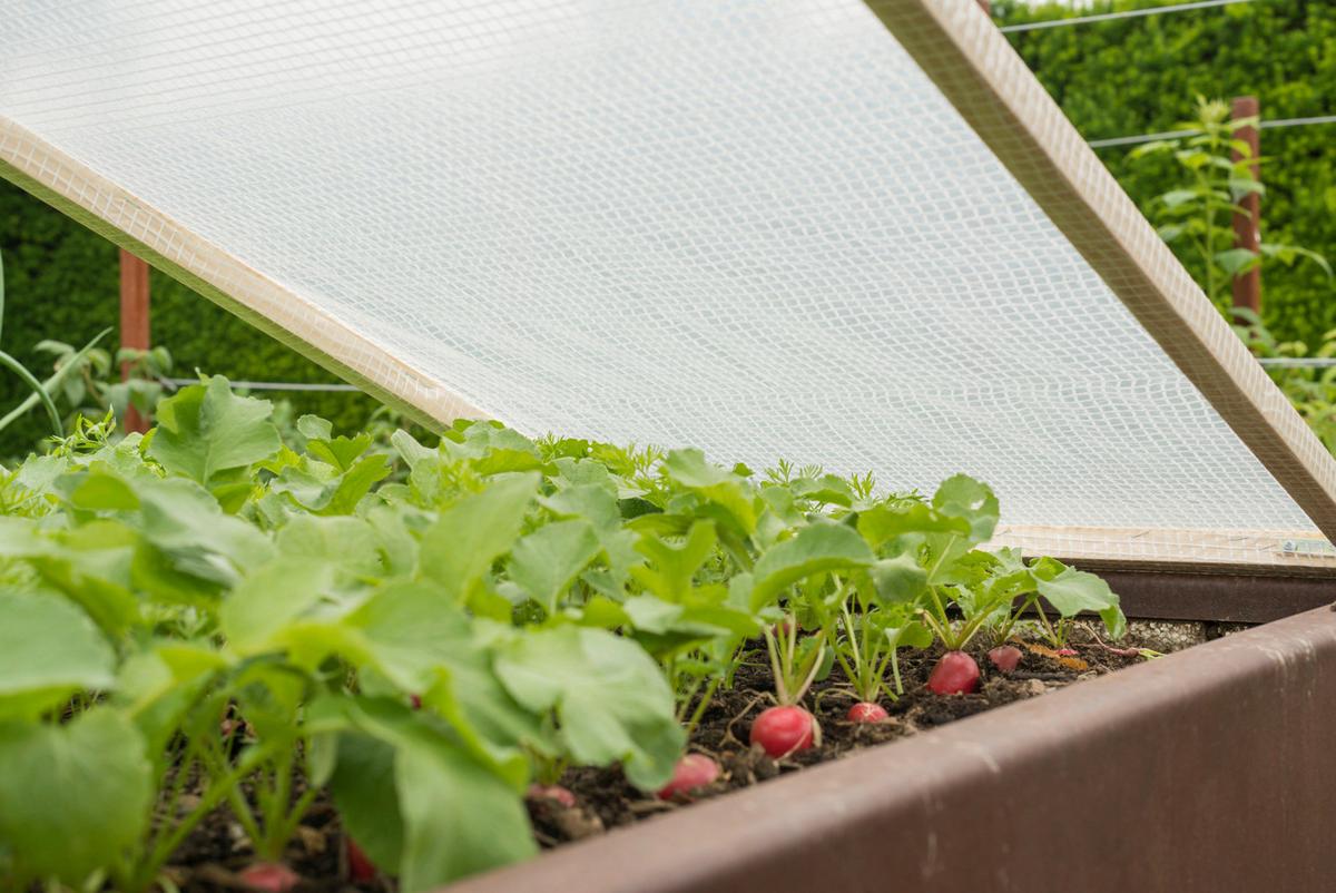 Gitter-folie Bxt: 200x300 Cm - Weiß, Basics, Kunststoff (200/300cm) - Windhager