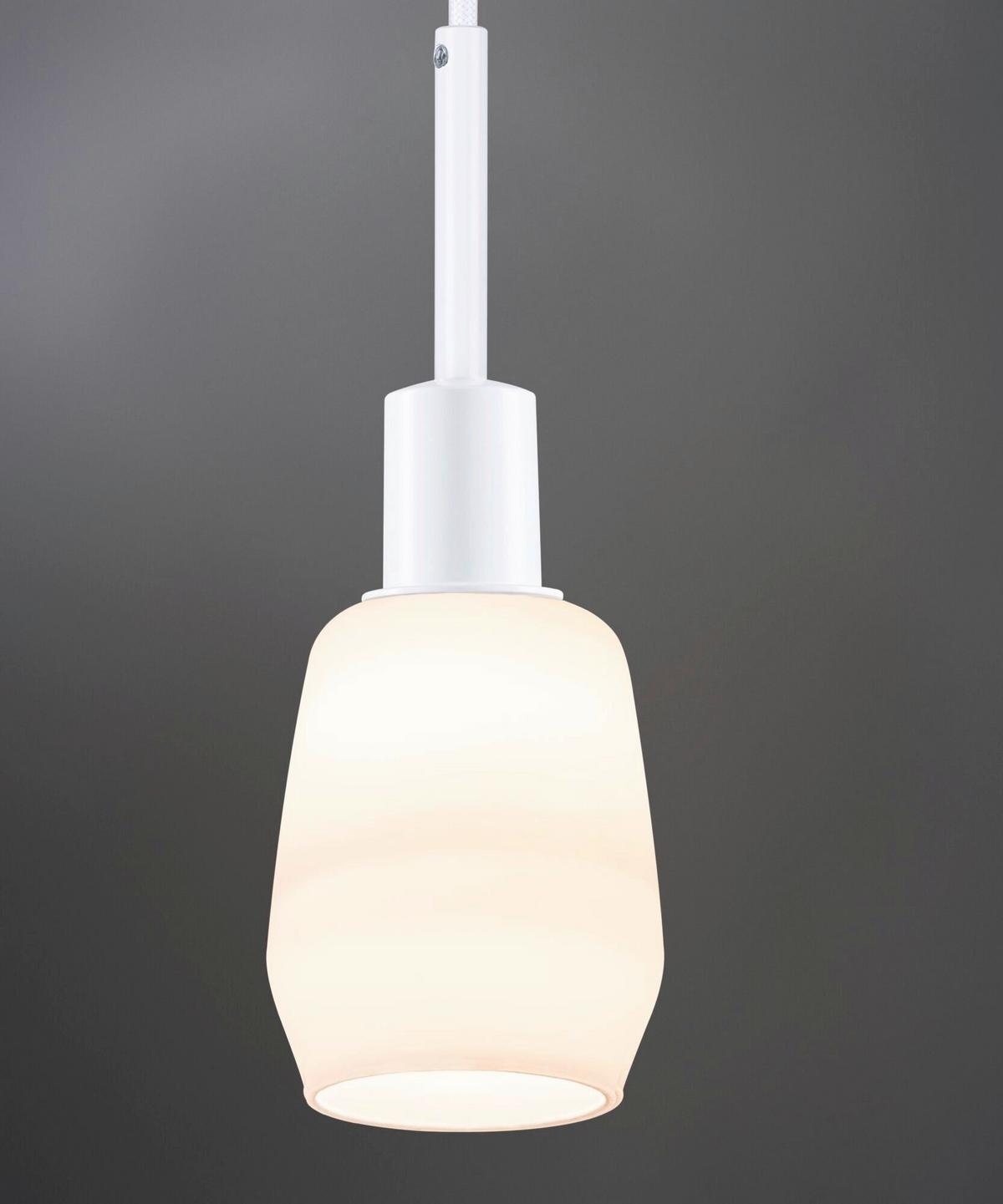 Schienensystem-hängeleuchte 94886 Urail Pend Sw - Basics, Metall (4,4/135,0cm) - Paulmann