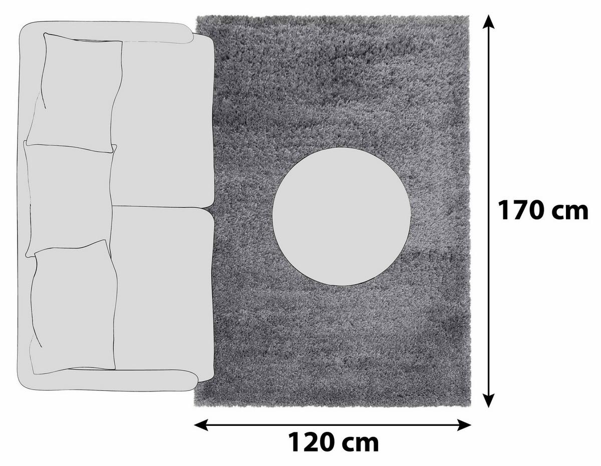 Hochflor Teppich Hellgrau Fluffy 120x170 Cm - Hellgrau, Basics, Textil (120/170cm)