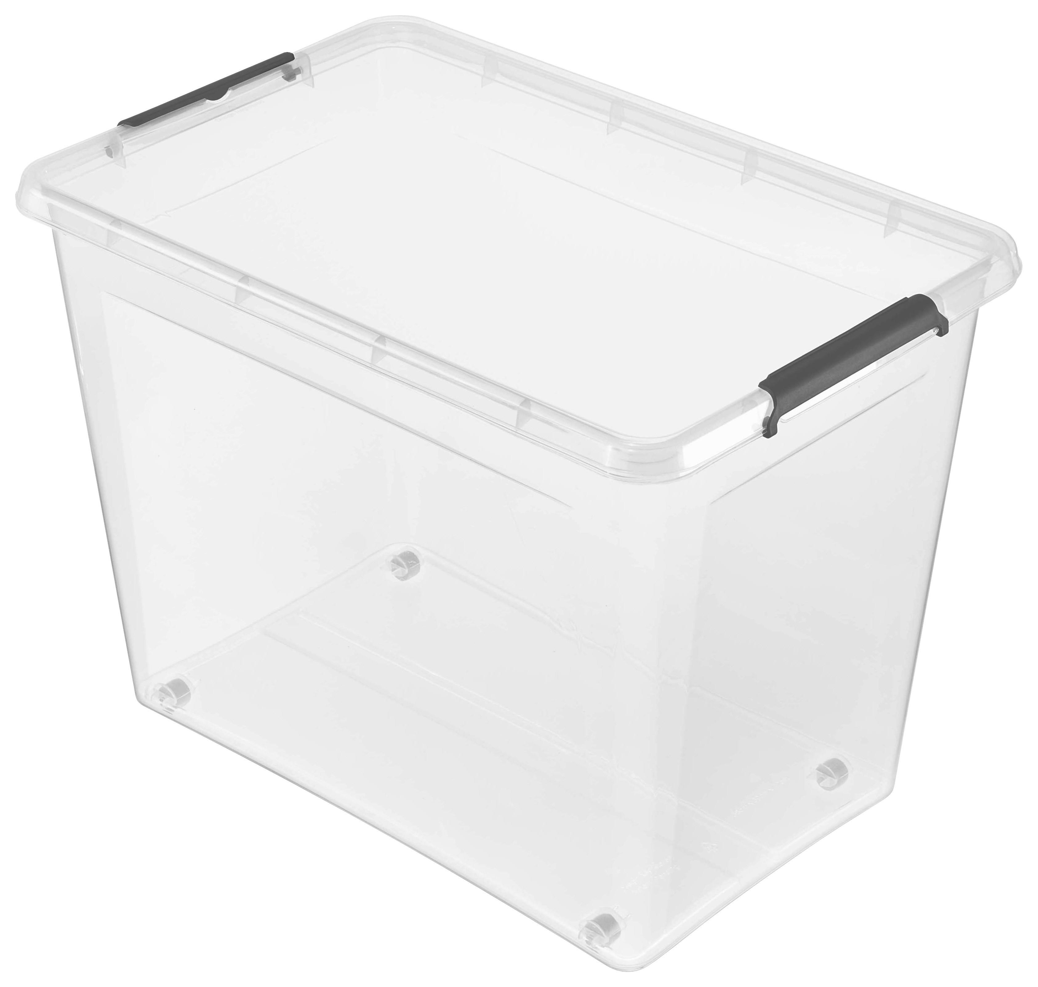 Aufbewahrungsbox mit Deckel Lars 80l, 58x39x42 cm - Transparent, Basics, Kunststoff (58/39/42cm) - Homezone