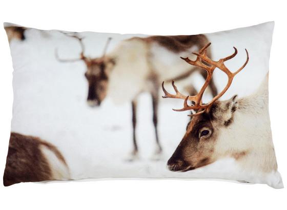 Polštář Ozdobný Wintertraum - světle šedá/světle modrá, textil (30/50cm) - Mömax modern living Polštář Ozdobný Wintertraum - světle šedá/světle modrá, textil (30/50cm) - Mömax modern living