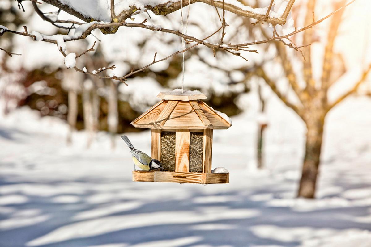 Vogelfuttersilo Wilder Kaiser, Kiefer - Naturfarben, Basics, Holz (26/24,5cm) - Windhager