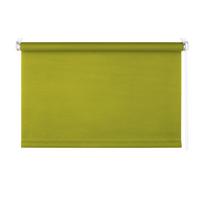 Rollo Win Grün B: 60 cm - Grün, Basics, Kunststoff (60/160cm) - Homeware