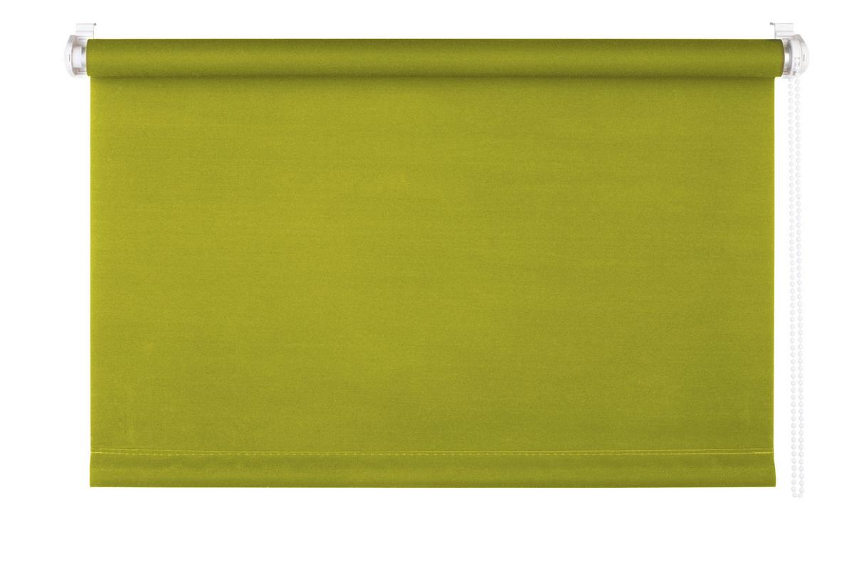Rollo Win Grün B: 60 cm - Grün, Basics, Kunststoff (60/160cm) - Homeware