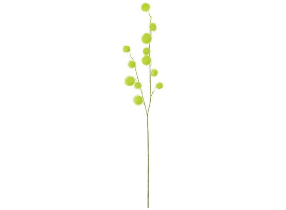 Umelá Rastlina Klettenzweig - zelená, plast (105cm) - Mömax modern living Umelá Rastlina Klettenzweig - zelená, plast (105cm) - Mömax modern living
