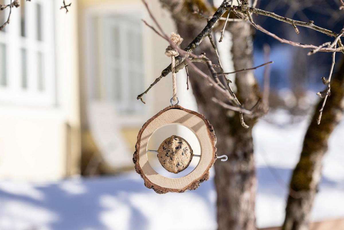 Meisenknödelhalter Dxh: 20x4 Cm - Birkefarben, Basics, Holz (20/4cm) - Windhager