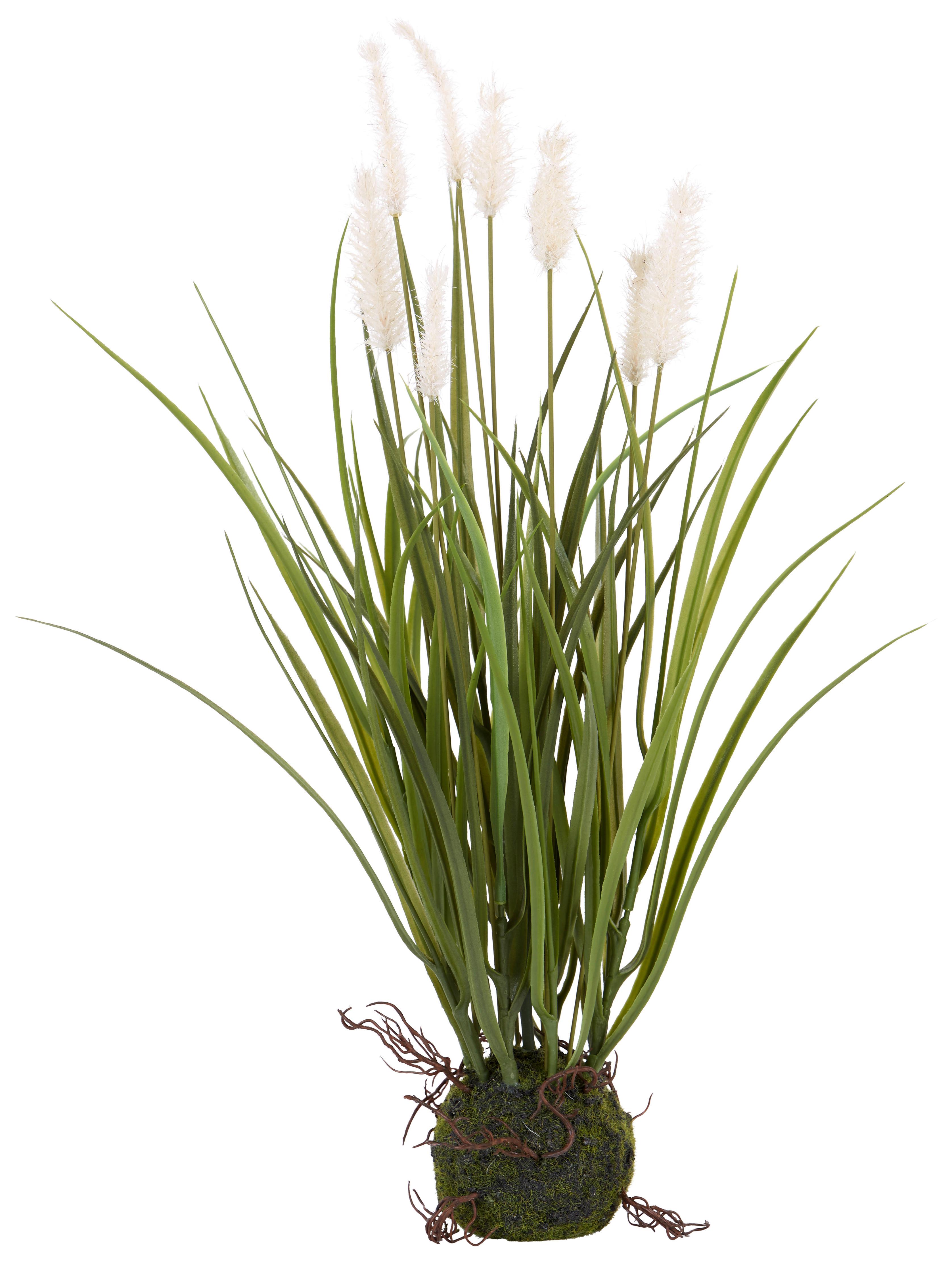 Kunstpflanze Grasbündel Creme L: 45 cm, Eska - Creme/Grün, Natur, Kunststoff (45cm)