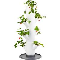 Erdbeertopf weiß - Weiß, Basics, Kunststoff (32/77cm) - Gusta Garden