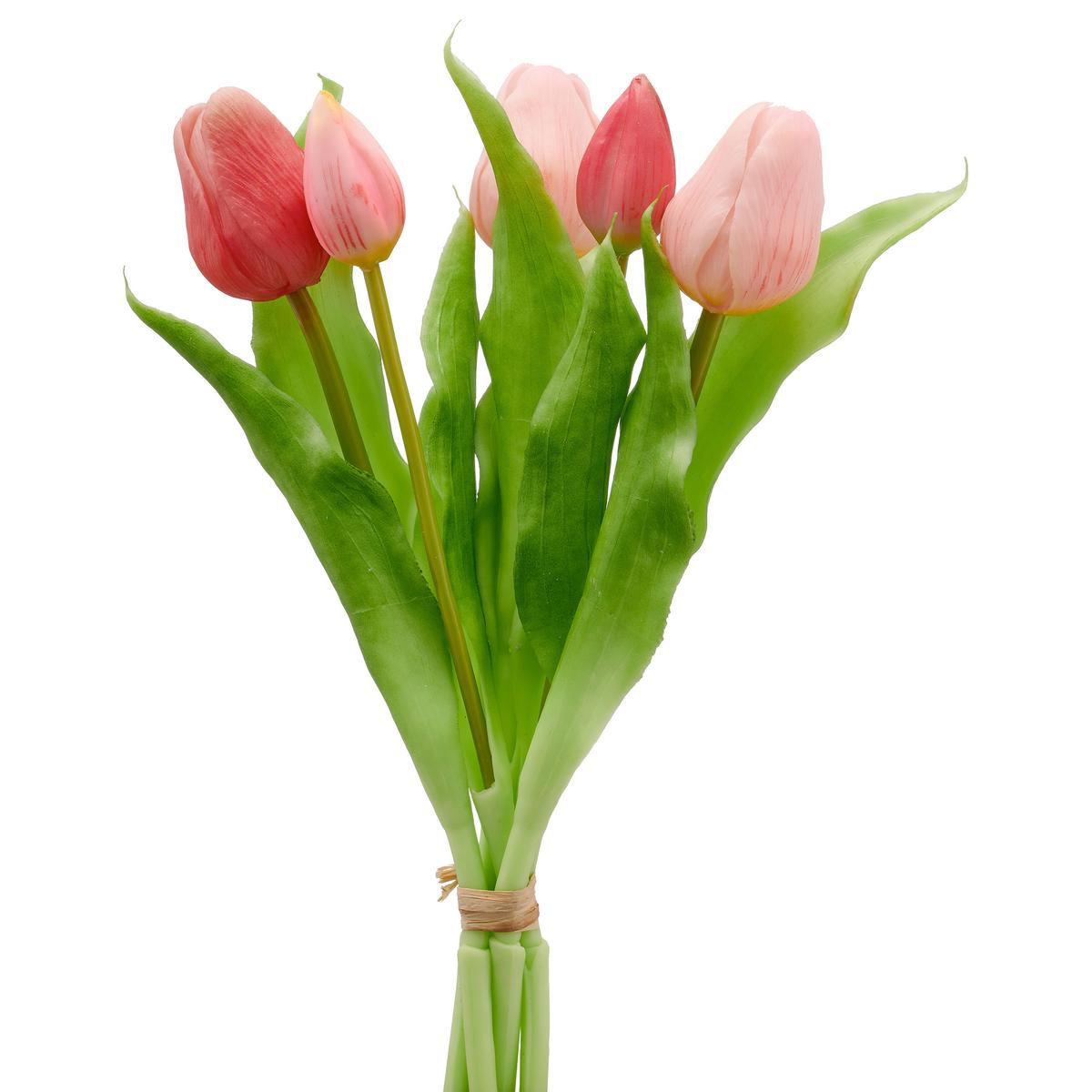 Tulpe Tulpenbund - Rosa/Grün, Basics, Kunststoff (31cm)