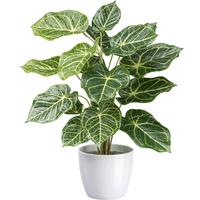 Kunstpflanze H: 50 cm - Weiß/Braun, Design, Keramik/Kunststoff (50cm) - P & B