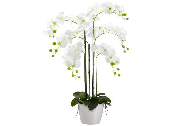 Umelá Rastlina Phalänopsis - biela/zelená, plast (90 cmcm) Umelá Rastlina Phalänopsis - biela/zelená, plast (90 cmcm)
