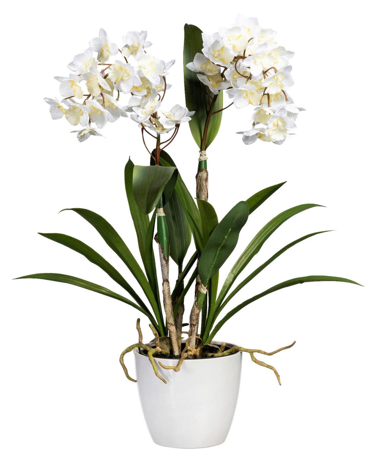 Kunstblume Dendrobie Berta H: 61cm - Weiß/Grün, Basics, Kunststoff (61cm)