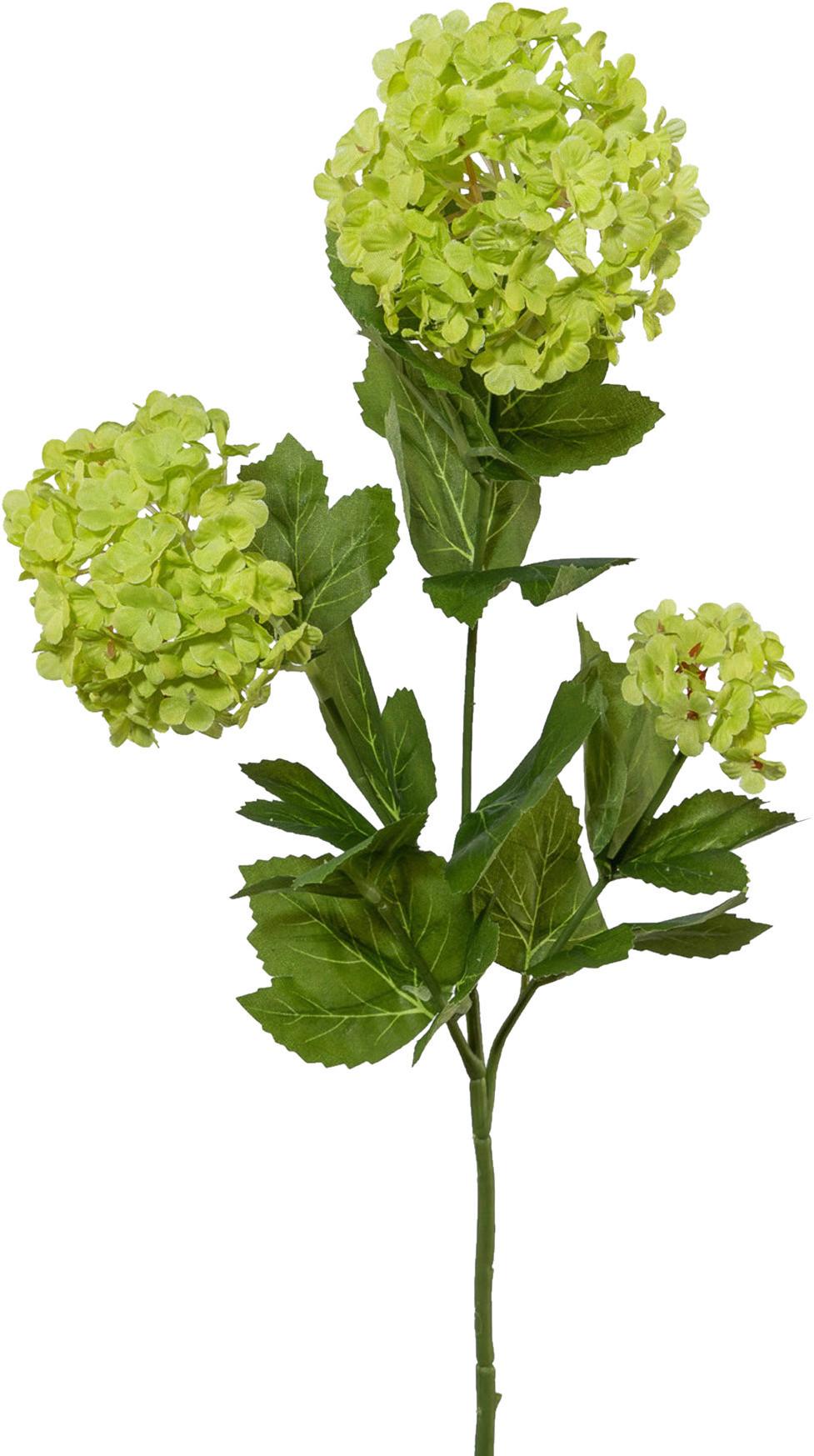 Műnövény Bangita - zöld, Natur, műanyag (61cm)