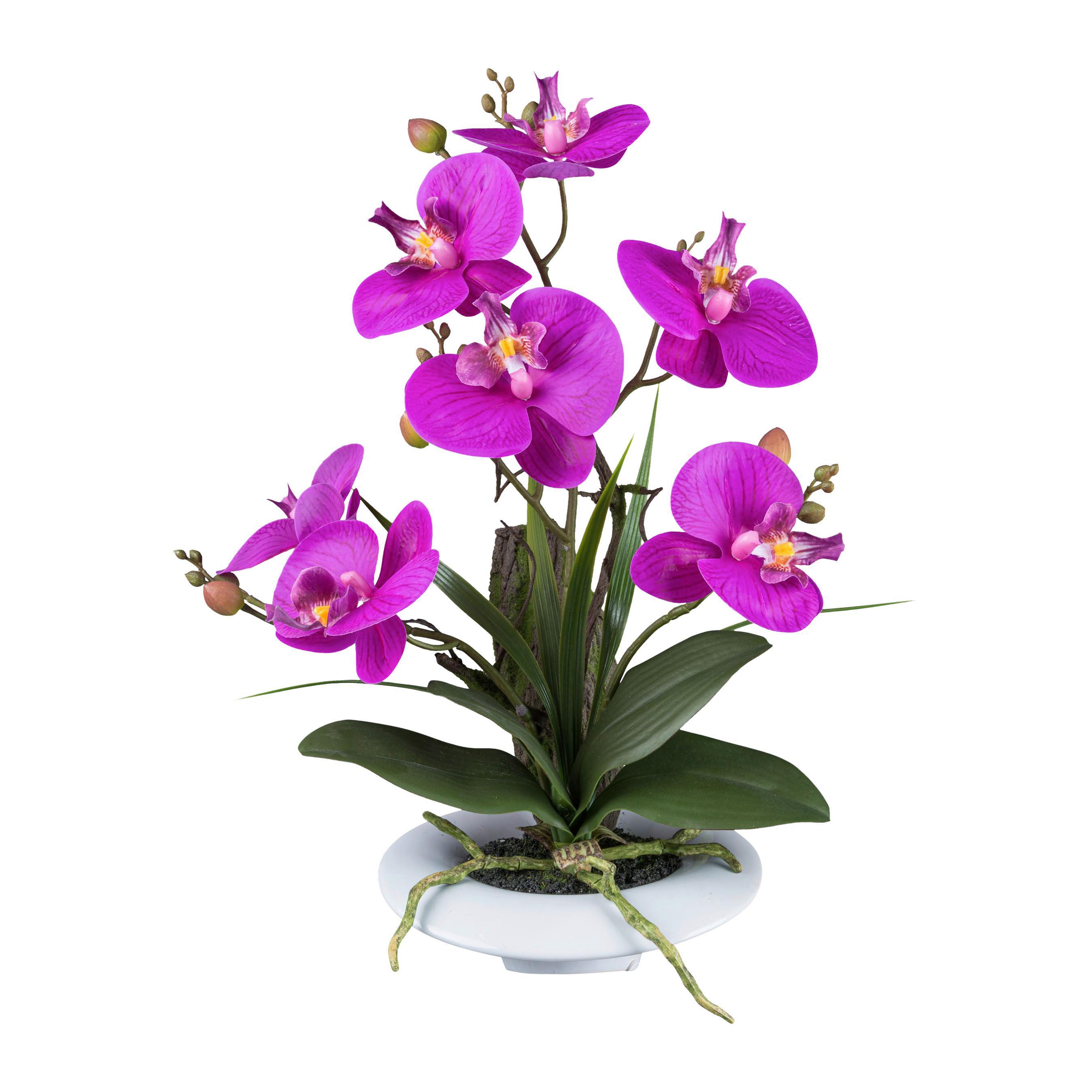 Kunstpflanze Orchideen Lila, Topf: Weiß, H: 41 cm - Lila/Weiß, Design, Keramik/Kunststoff (41cm) - P & B
