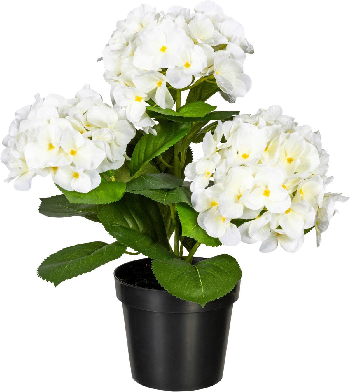 Kunstpflanze Blühpflanzen Weiß/Grün, 32 cm - Weiß/Grün, Design, Kunststoff (32cm) - P & B