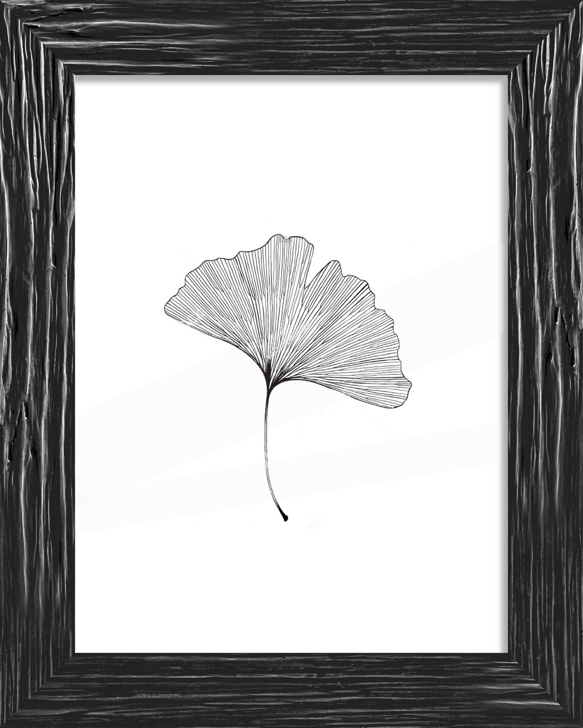 Rám na obrazy Frido, 30/40cm - černá, Romantický / Rustikální, dřevo (30/40cm) - ecoTree