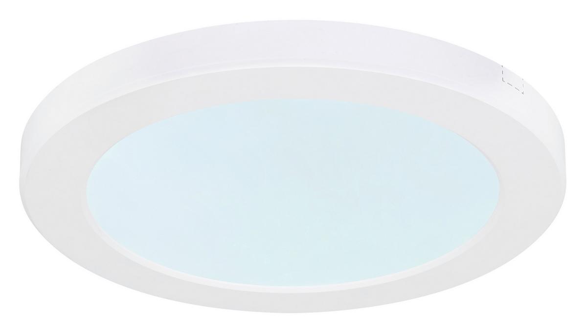 LED-Deckenleuchte Nita Ø 22 cm, Farben Fixierbar - Opal/Weiß, MODERN, Kunststoff (22/1,8cm) - Luca Bessoni