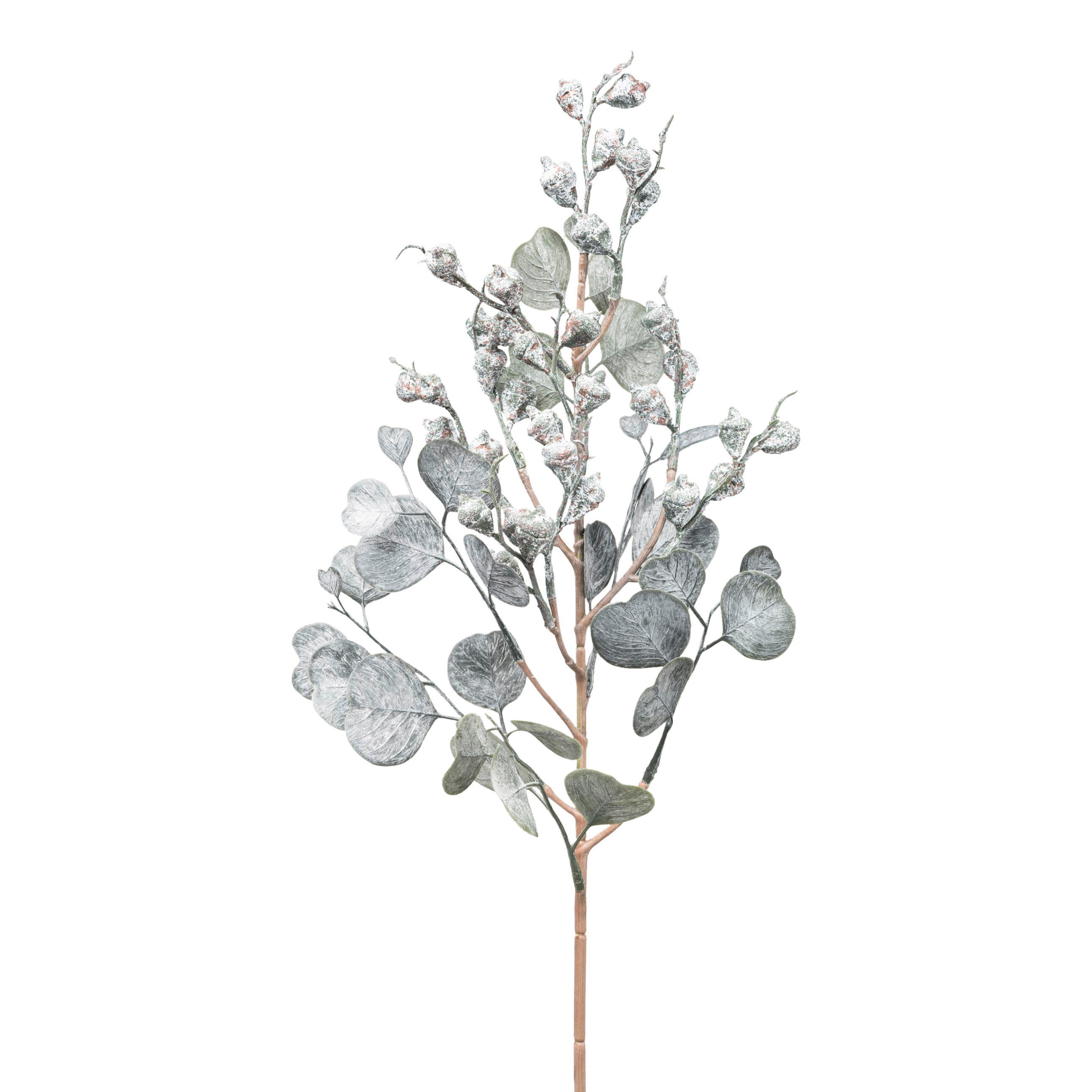 DEKORAČNÍ VĚTVIČKA EUKALYPTUSZWEIG I - šedá, Konvenční, plast (53cm) - Modern Living