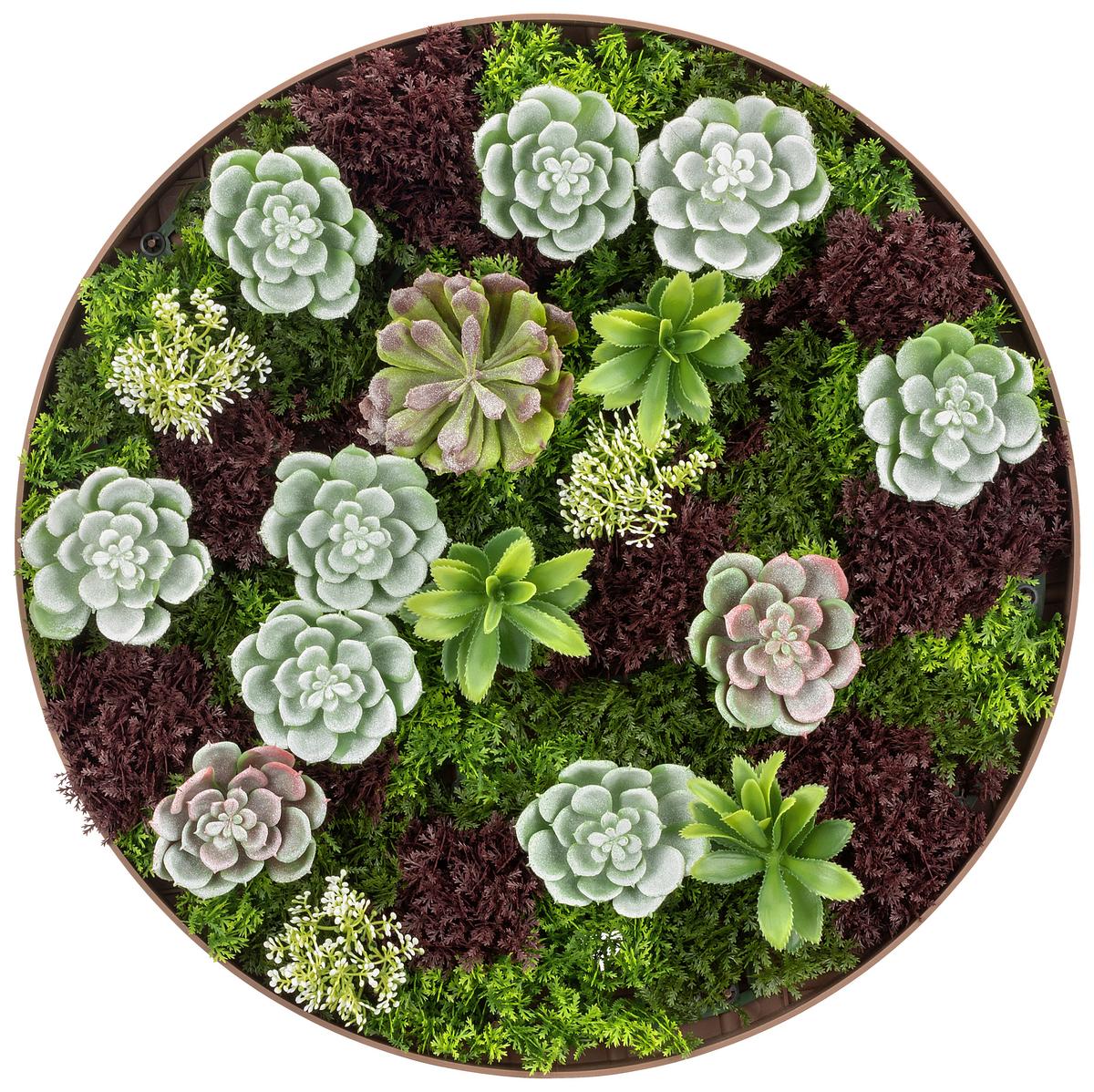 Moosbild Aus Kunstpflanzen Zana Dm: 50 Cm - Grün, KONVENTIONELL, Kunststoff (50cm) - Luca Bessoni