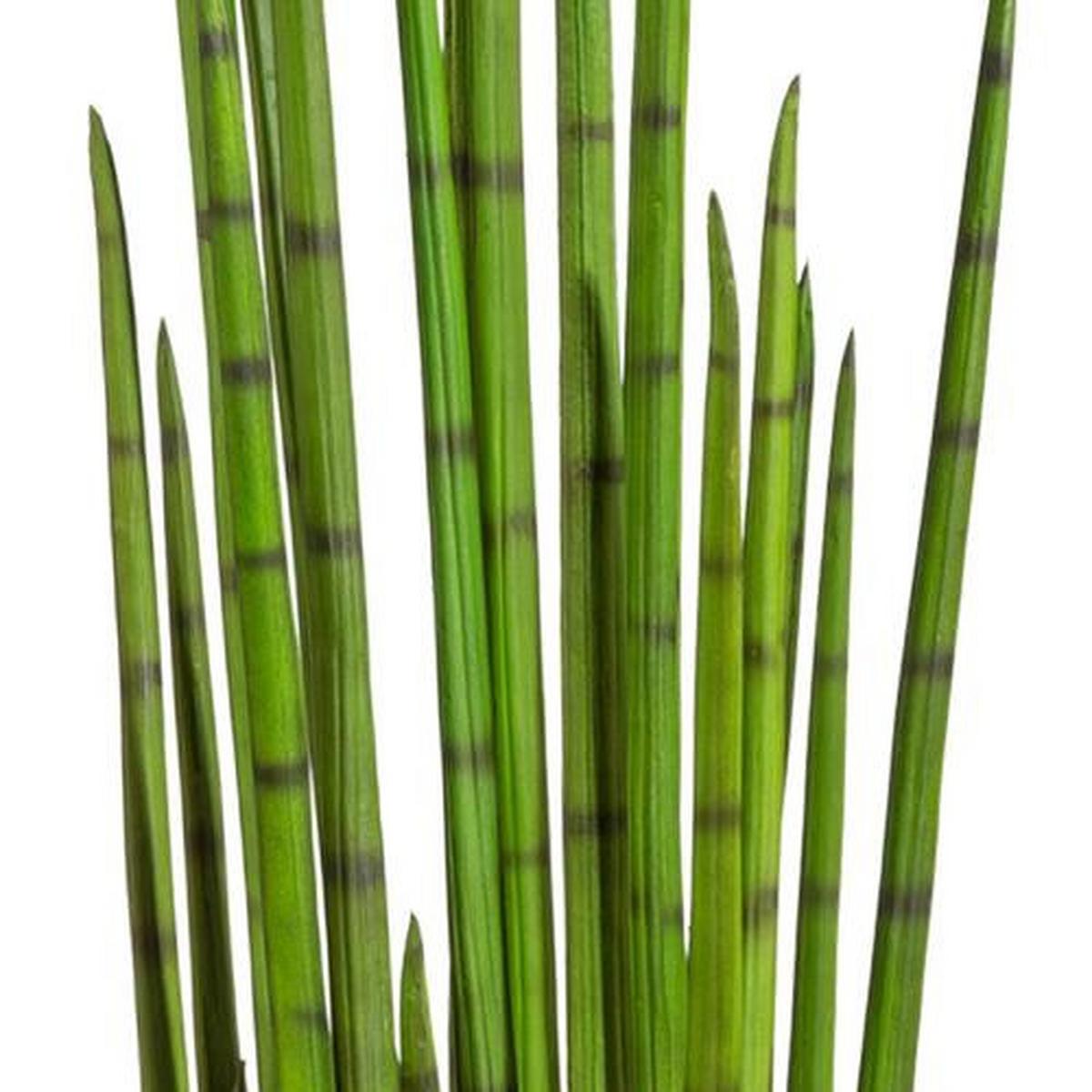 Kunstpflanze Sanny H: 120 Cm Grün - Schwarz/Grün, MODERN, Kunststoff (120cm) - P & B