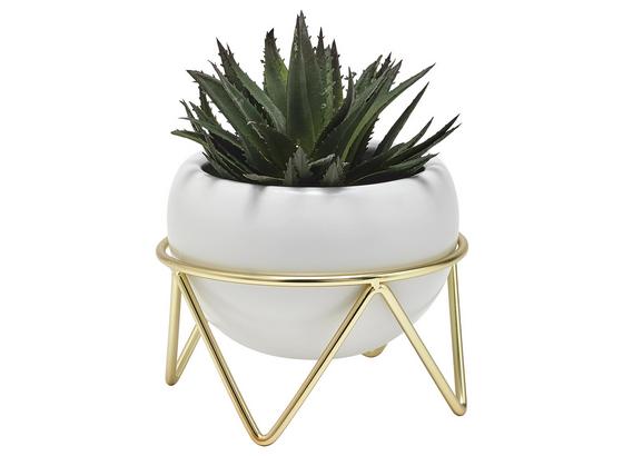 Kvetináč Mika - biela/zlatá, kov/keramika (14,5/10,5cm) - Mömax modern living Kvetináč Mika - biela/zlatá, kov/keramika (14,5/10,5cm) - Mömax modern living