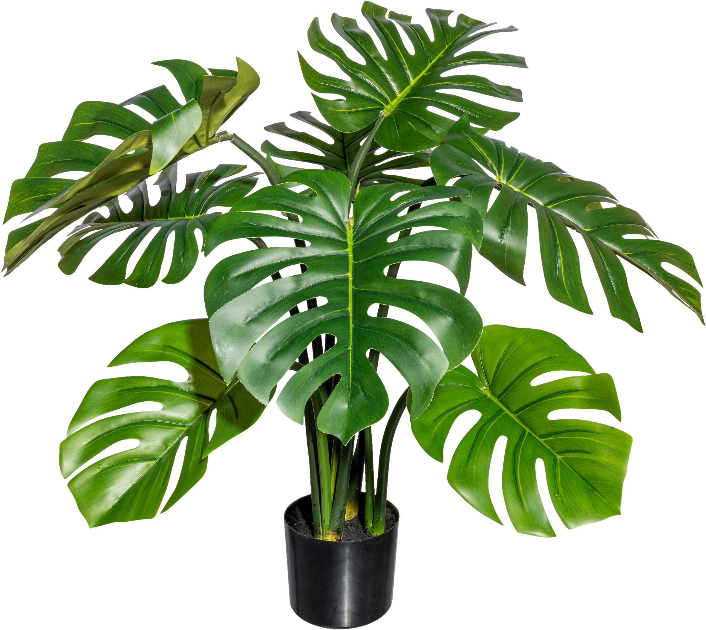 Kunstpflanze Split Philodendron H: 90 cm - Schwarz/Grün, Design, Kunststoff (90cm) - P & B