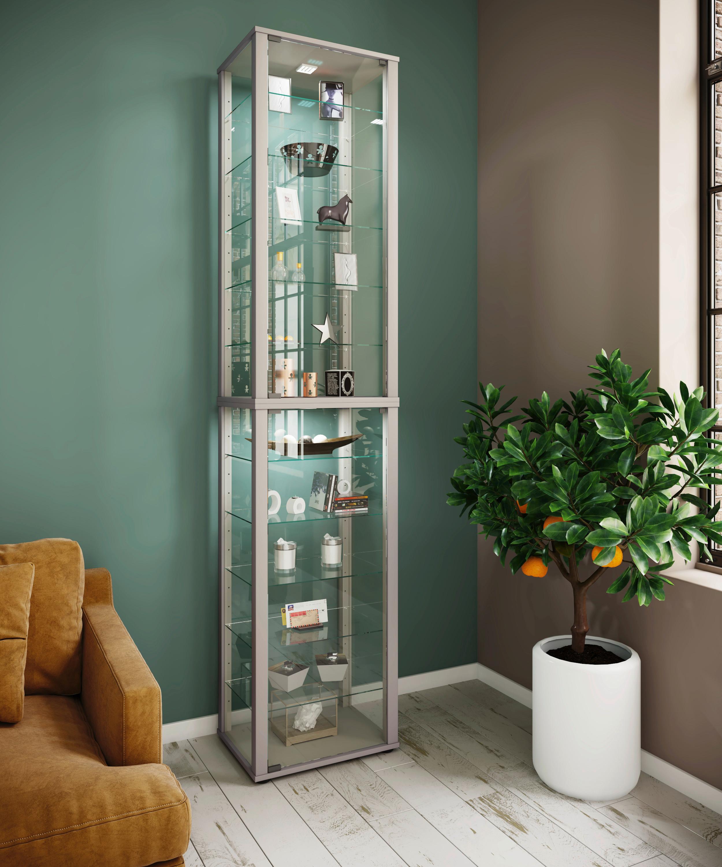 Vitrine Kavisa Silberfarben B: 50 cm - Silberfarben/Schwarz, MODERN, Glas/Holzwerkstoff (50/227/38cm) - MID.YOU