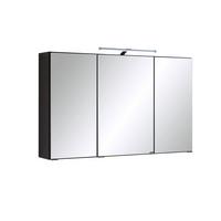 Spiegelschrank mit Türdämpfer + Led Cardiff BxHxT: 100x64x20cm - Graphitfarben, KONVENTIONELL, Glas/Holzwerkstoff (100/64/20cm) - Held