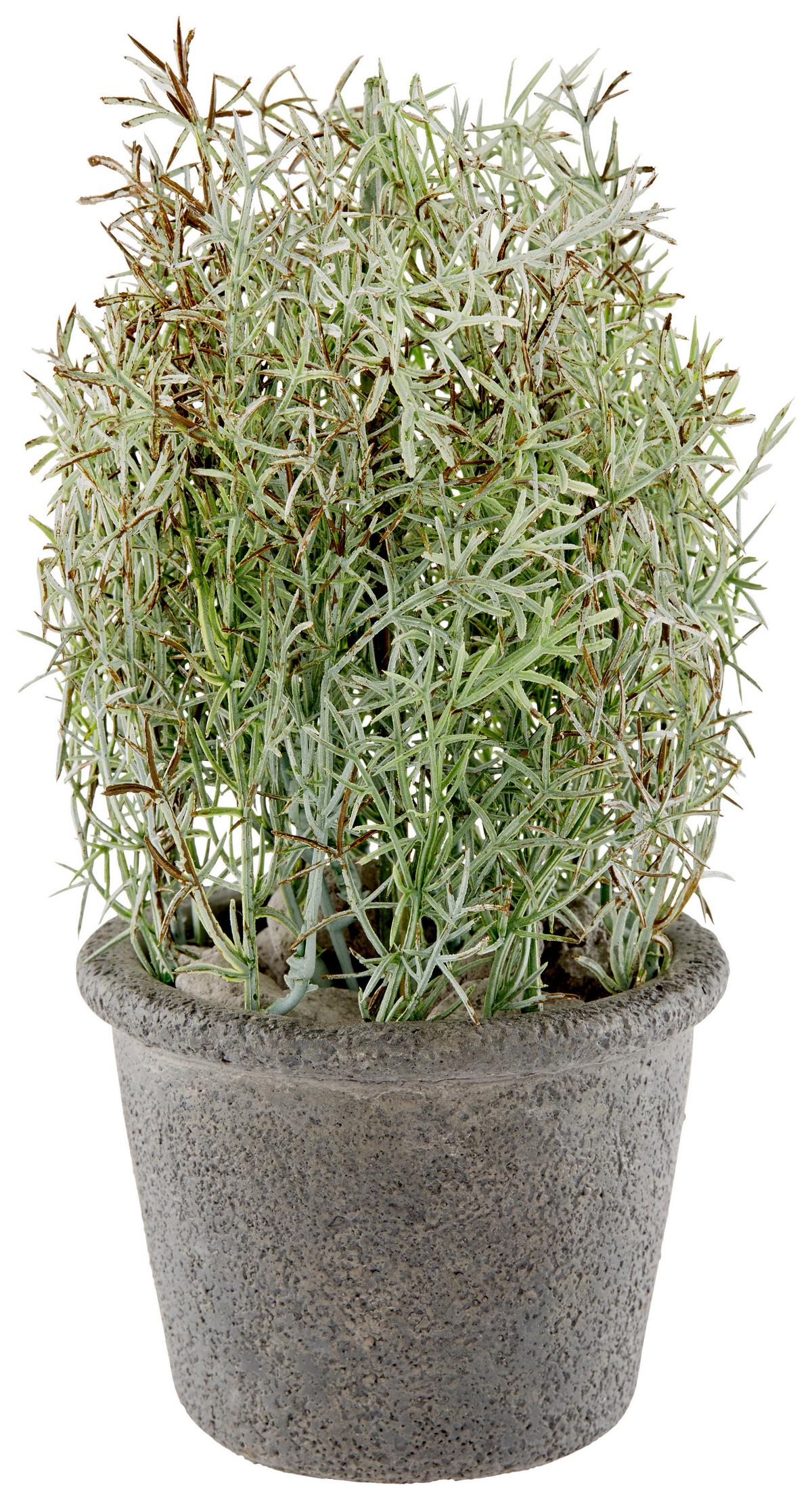 Kunstpflanze Dekostrauch Grün H: 24,5 cm, Eilert - Eschefarben/Grün, Basics, Kunststoff/Stein (10,75/24,5/11,5cm) - Luca Bessoni