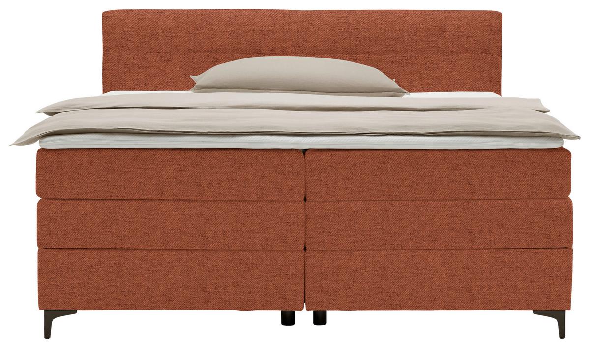 Boxspringová postel BARI 160/200, terakotová - černá/terracotta, Konvenční, kov/textil (160/200cm) - Mömax
