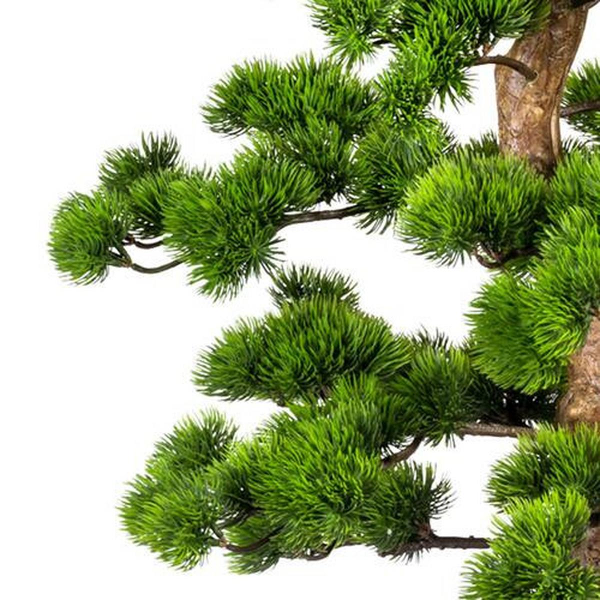 Kunstpflanze Bonsai Grün L: 110 cm mit Topf - Schwarz/Braun, Basics, Kunststoff (50/110cm) - P & B