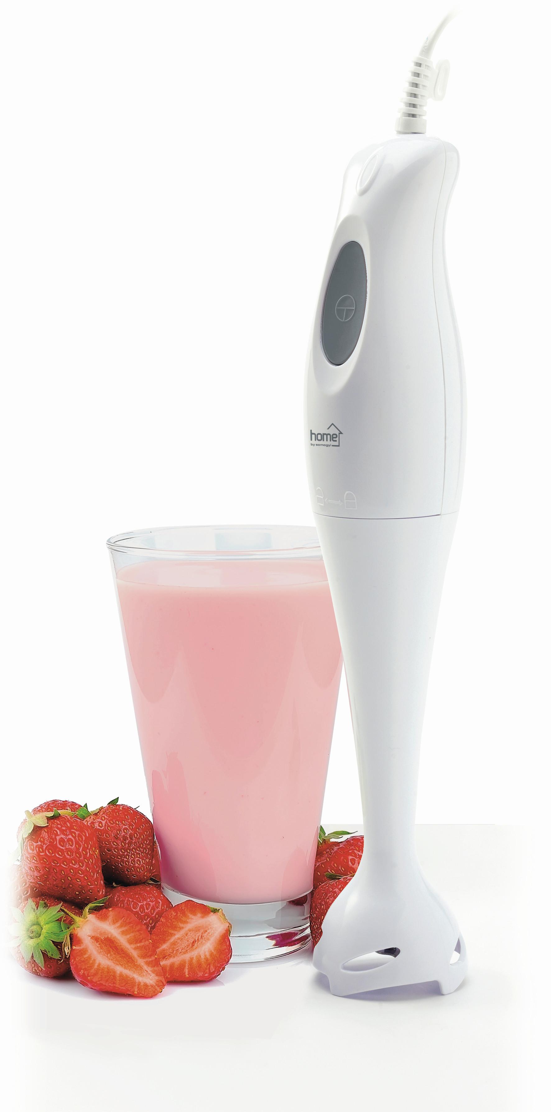 Botmixer Home - fehér, műanyag/fém (8/39/7cm)