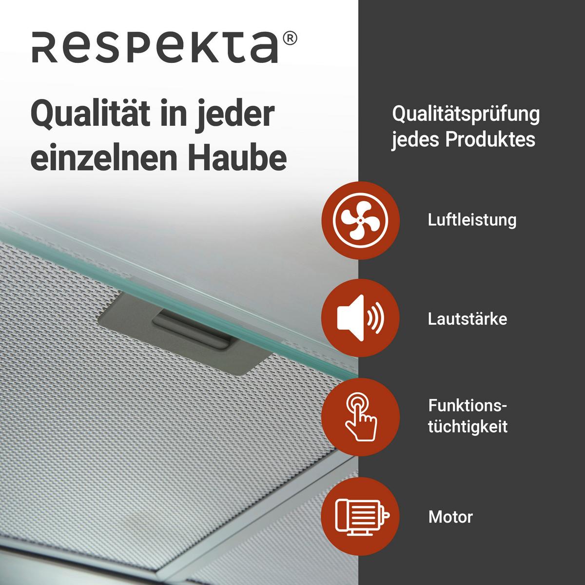 Dunstabzugshaube Tila Edelstahlfarben B: 60 Cm, Led - Edelstahlfarben, Trend, Glas/Metall (60/13/50cm) - Respekta