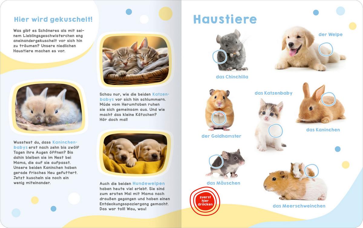 SOUNDBUCH GERÄUSCHE TIERBABYS - Multicolor, Basics, Papier (27,7/22,/1,3cm)