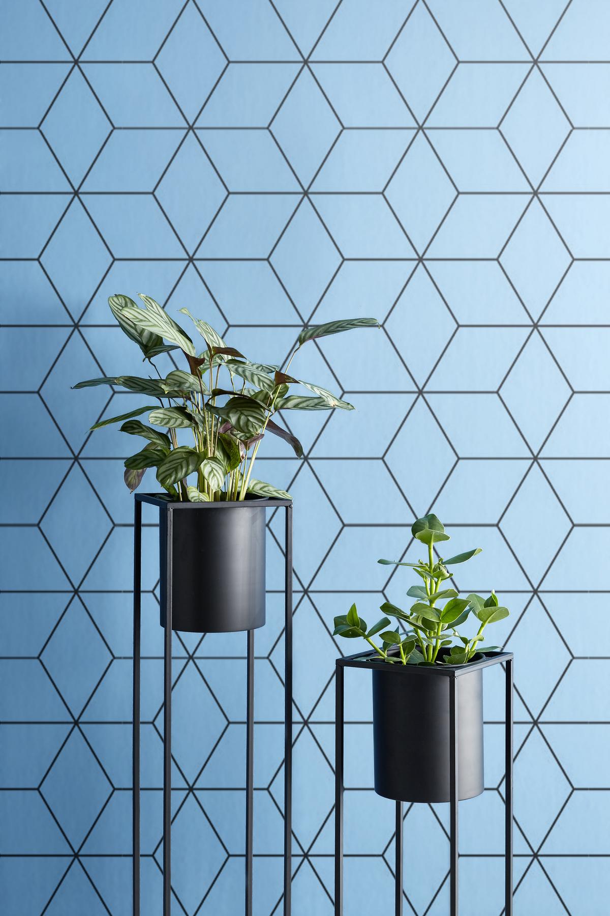 OBAL NA KVĚTINÁČ KIARA -AKT- -TOP- - černá, Lifestyle, kov (20,8/55,5cm) - Mömax
