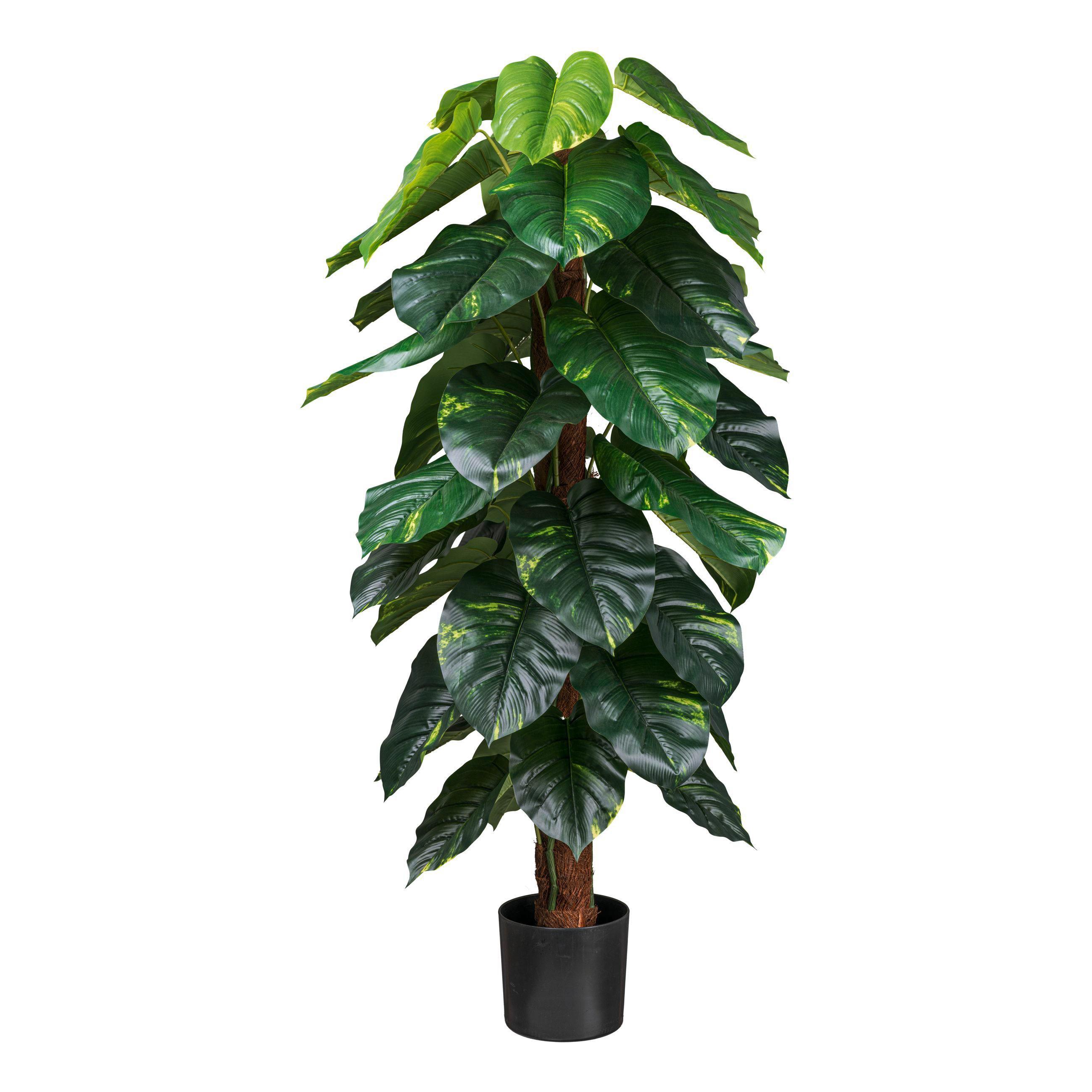 Kunstblume Grün/Braun/Schwarz, 150 cm - Schwarz/Braun, Design, Kunststoff (150cm) - P & B