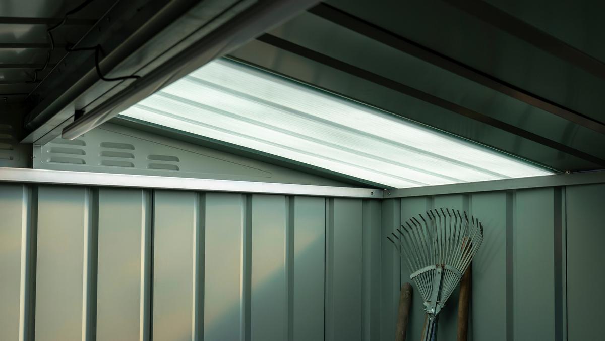 Fensterlichtpaneel Lichtpaneele fürs Dach - Transparent, Basics, Kunststoff (65,5/155cm)