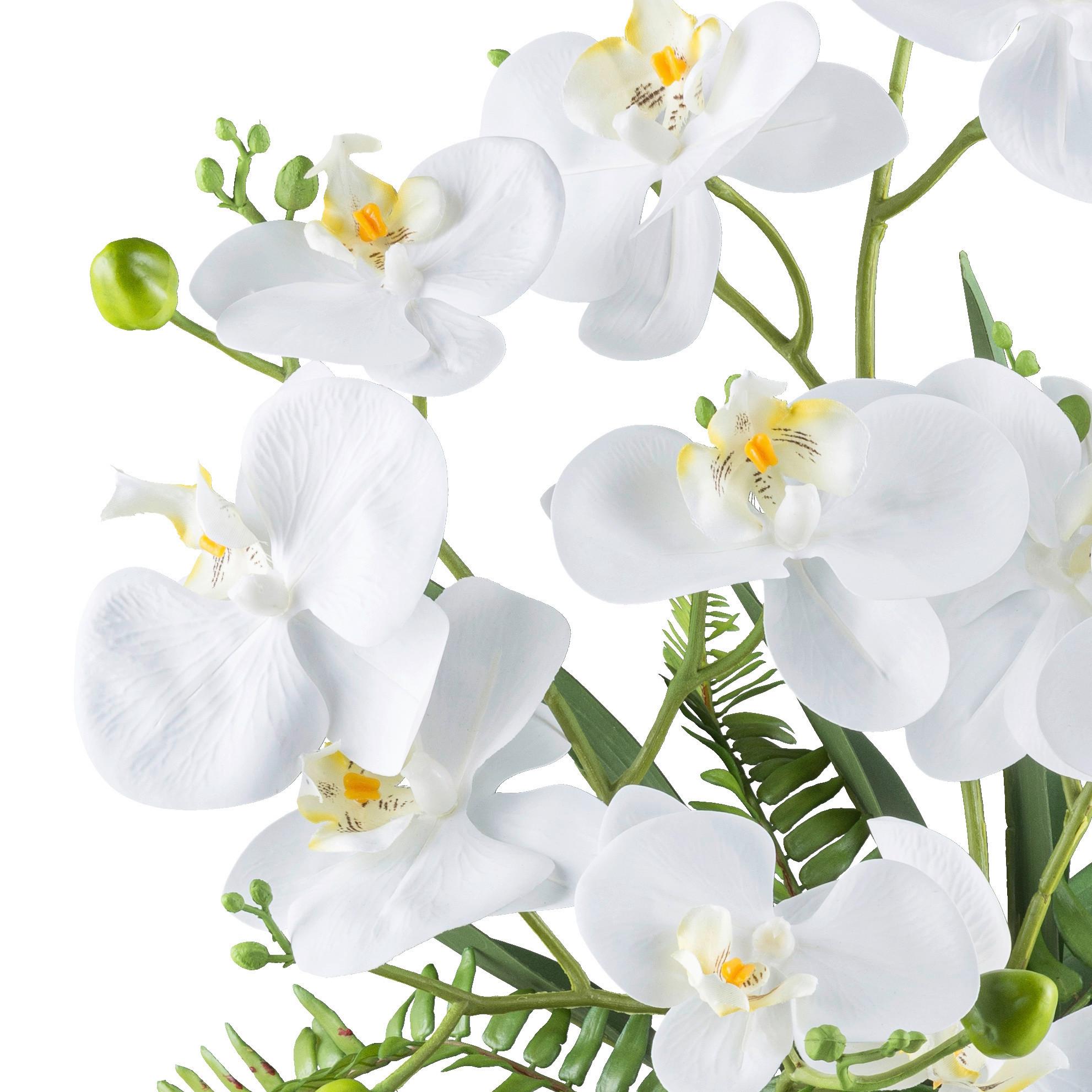 Kunstpflanze Orchideen Grün/Weiß, 55 cm - Weiß/Grün, Design, Keramik/Kunststoff (55cm) - P & B