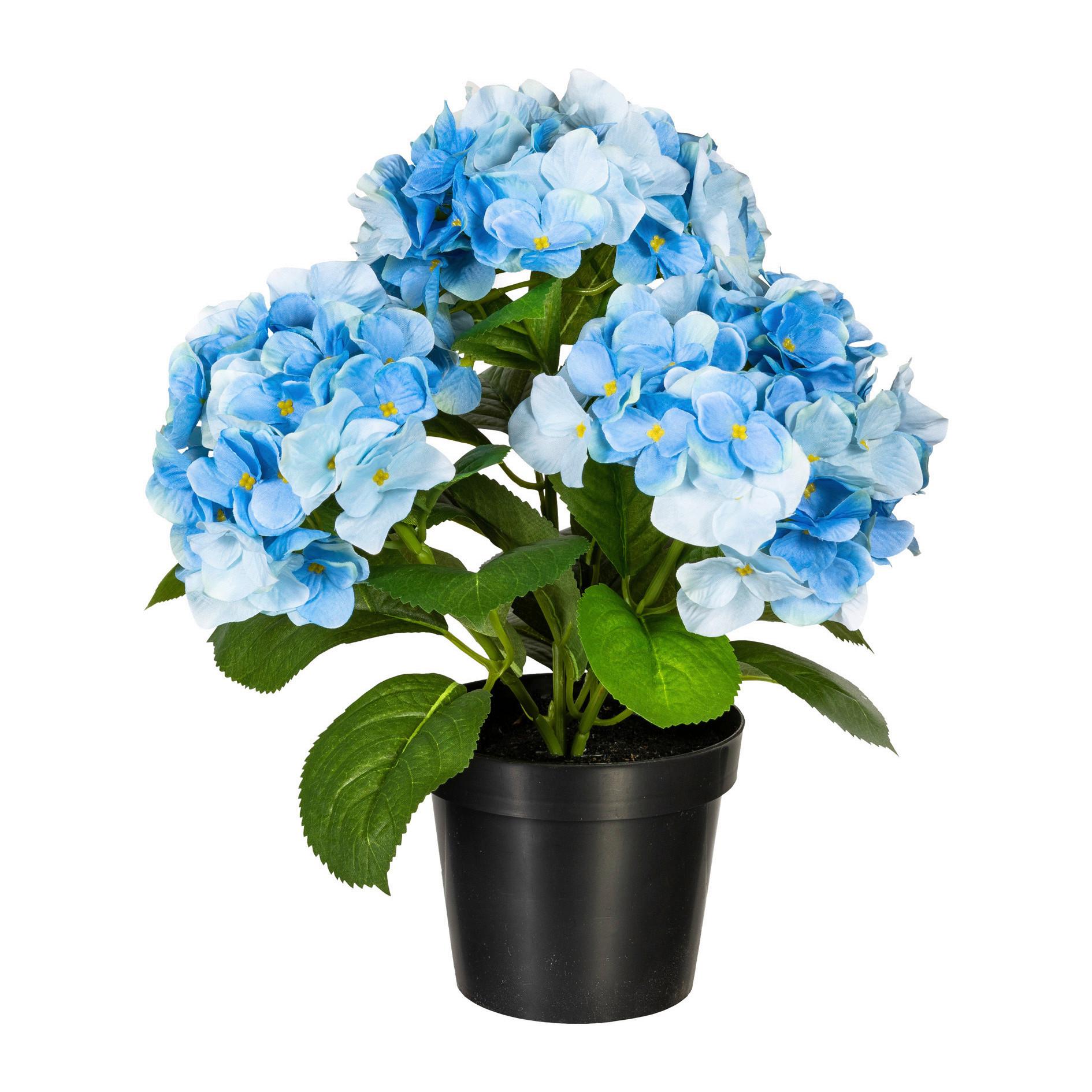 Kunstpflanze Blühpflanzen Blau/Grün/Schwarz, 32 cm - Blau/Schwarz, Design, Kunststoff (32cm) - P & B
