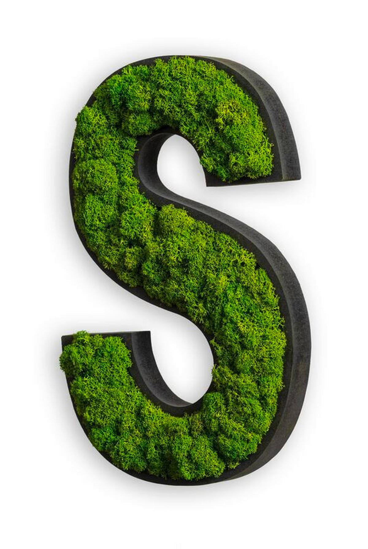 Moosbild Grün B: 26 Cm - Schwarz/Grün, Basics, Naturmaterialien/Holz (26/18/4cm)