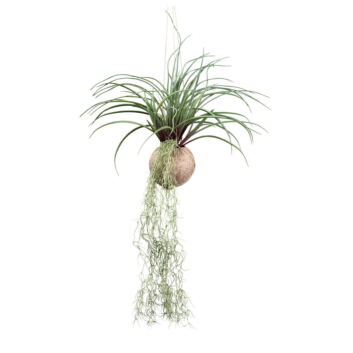 Kunstpflanze Hängepflanze Grün, 72 cm - Grün, Design, Naturmaterialien/Kunststoff (72cm) - P & B